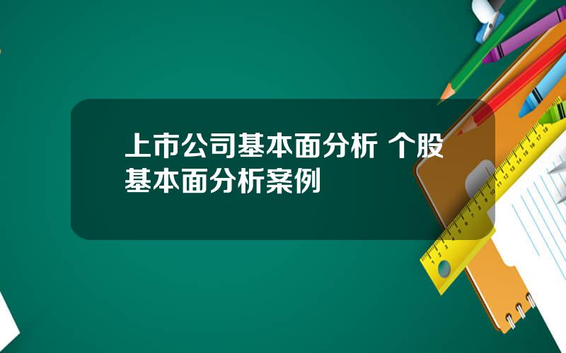 上市公司基本面分析 个股基本面分析案例